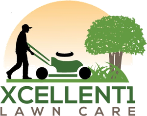 Xcellent1 logo